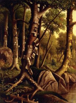 利瓦伊 韋爾斯 普倫蒂斯 Birch Trees 利瓦伊 韋爾斯 普倫蒂斯 Birch Trees